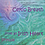 Celtic Breath